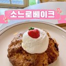 소느로베이크 네이버블로그