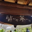 닭이랑 삼이랑