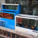 느리실마을 | 청주 대하구이 맛집 산남동 느리실 버터머리구이까지 내돈내산 솔직후기