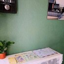 댕댕이,봄 | 댕댕이랑 떠나는 감성 충전 여행, 그 완벽한 쉼표를 찾았어요!