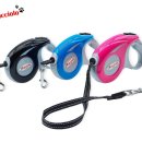 쿠치올로 이미지