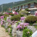 모곡초등학교 이미지