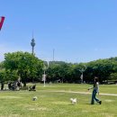 두류공원 이미지