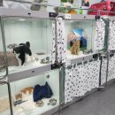 영광동물병원 이미지