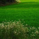 인생초상화 이미지