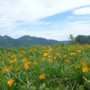 금강온천 이미지