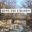 옥당걸숲속 이미지
