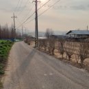 쌍용아파트 건너편 이미지