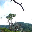18.7/8 속리산국립공원 칠보산(778m) 이미지