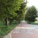 강진군동초등학교 이미지