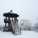 겨울의 장성 축령산 이미지