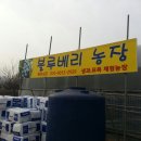 사오농장 이미지