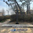 보체초등학교 이미지