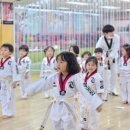 용인대 무궁화 태권도장 네이버블로그