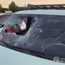 대형스크린골프 이미지