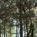대왕암공원관리사무소 | 울산 가볼만한곳 현지인 추천 경치가 예술인 대왕암공원 주차정보