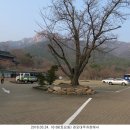 경포대주차장 이미지