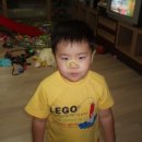 니코복코 이미지