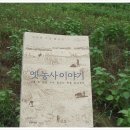 평화식당 이미지