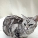 청라원 이미지