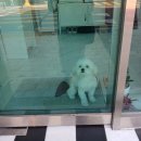 씨유 마산산호 프렌즈점 | [마산 산호동] '스며들 하루' 마산 하체 부종관리 바디관리 추천