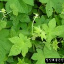 동림축산 이미지