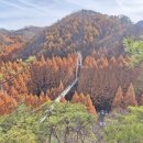 장태산 자연 휴양림 이미지