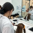 미용사자격증 | 대전두피학원자격증 합격후기, 40대 늦은 창업 도전기