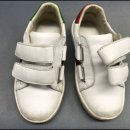 얼룩빼기 이박사 이미지