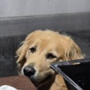 휴가든카라반
