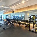 모티빅 피트니스 | [신중동헬스장] 수 많은 리뷰🥰가 인증하는!! 모티빅 피트니스 🥰