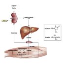 스포니스 잠실새내점 이미지