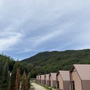 남산숯불가든 | 대구 근교 글램핑 남산계곡 펜션 청도 바움글램핑 그랜드발트 이용후기