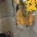 우현파파컵과일 이미지