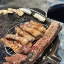 지구화원 이미지