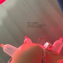 수원-1581 | [2510] 생일축하합니다 Happy Birthday(이가네양꼬치, 본디)