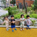 늘푸른어린이집 놀이터 이미지