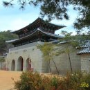 영남대로 이미지