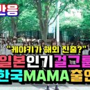 일본 인기 걸그룹 케야키자카46 한국 MAMA 출연 결정! 일본 반응 이미지