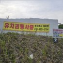 [국도3] 음성군 신양리