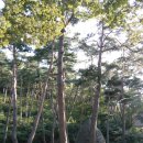 만수산자연휴양림 이미지