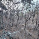 학도암 중 이미지