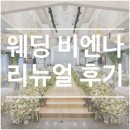 비엔나 | 대구 달서구 웨딩홀 추천 :: 웨딩 비엔나 컨벤션홀 리뉴얼 후기