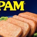 스팸(SPAM) 이미지