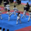 용인대 k-타이거즈 태권도장 이미지