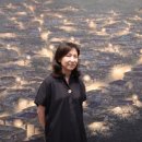 논현로 41 이미지