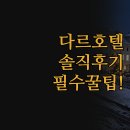 골든프라자 | 출장 휴식 완벽 3곳 비교 분석 | 크라운 플라자 오노모 골든 튤립 | 실제 숙박 솔직 후기 및 선택 꿀팁