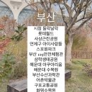 옥토끼목장 이미지