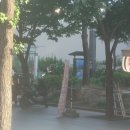 모리셔스브라운여의도 | 여의도역맛집 사위식당 여의도점