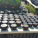 예닮농장 이미지